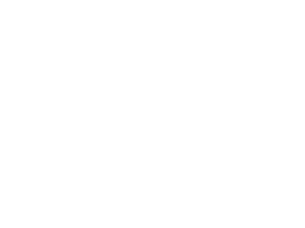 Logo - Planeo elektro